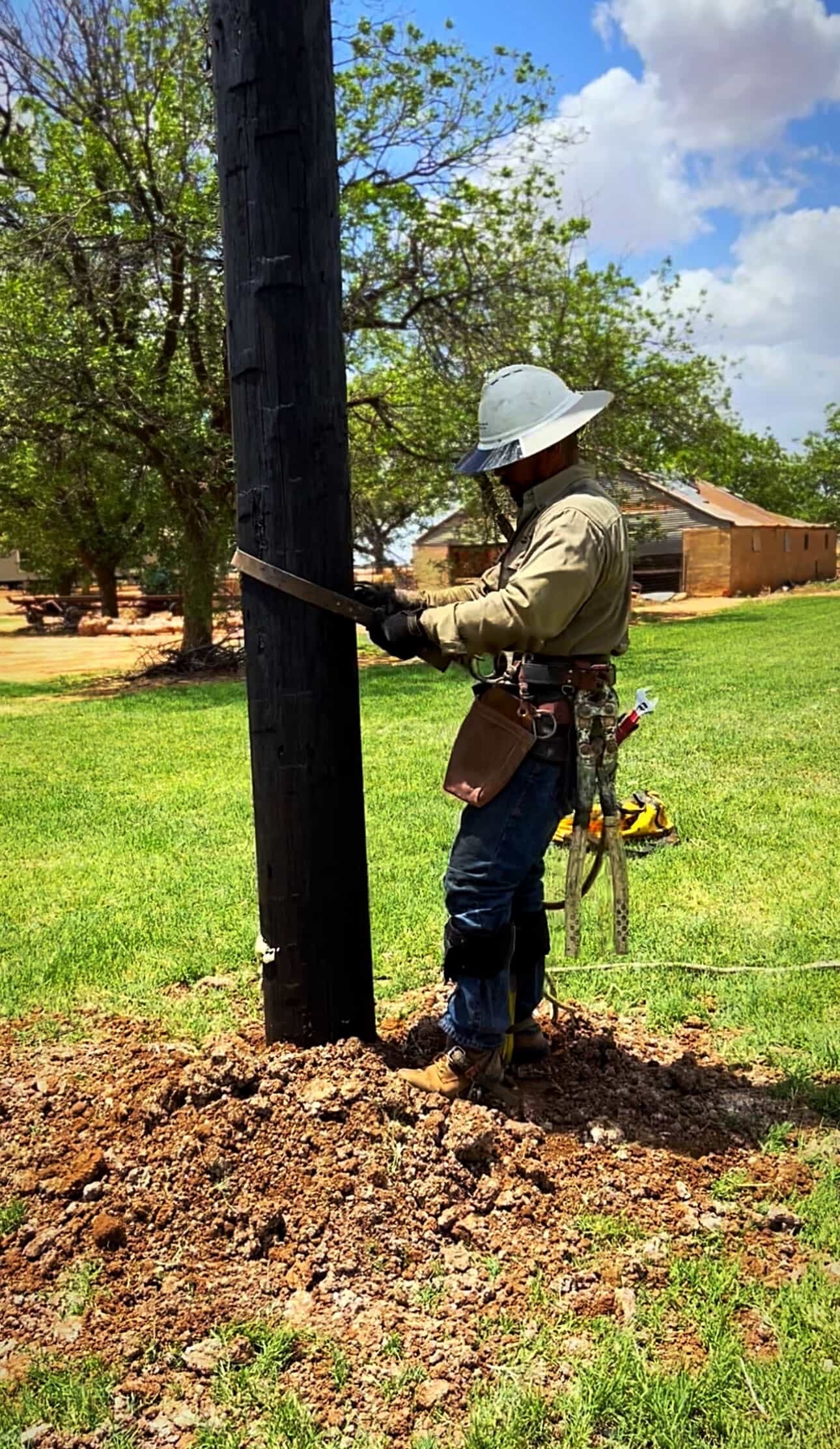 Jude Jolma wearing safety gear standing beside a large split tree in a dense forest after storm damage.