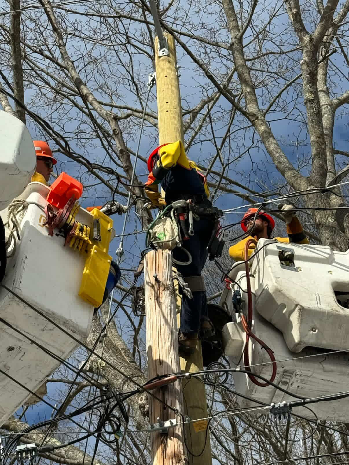 Shayla Gaffney and crew performing Storm Restoration Linework