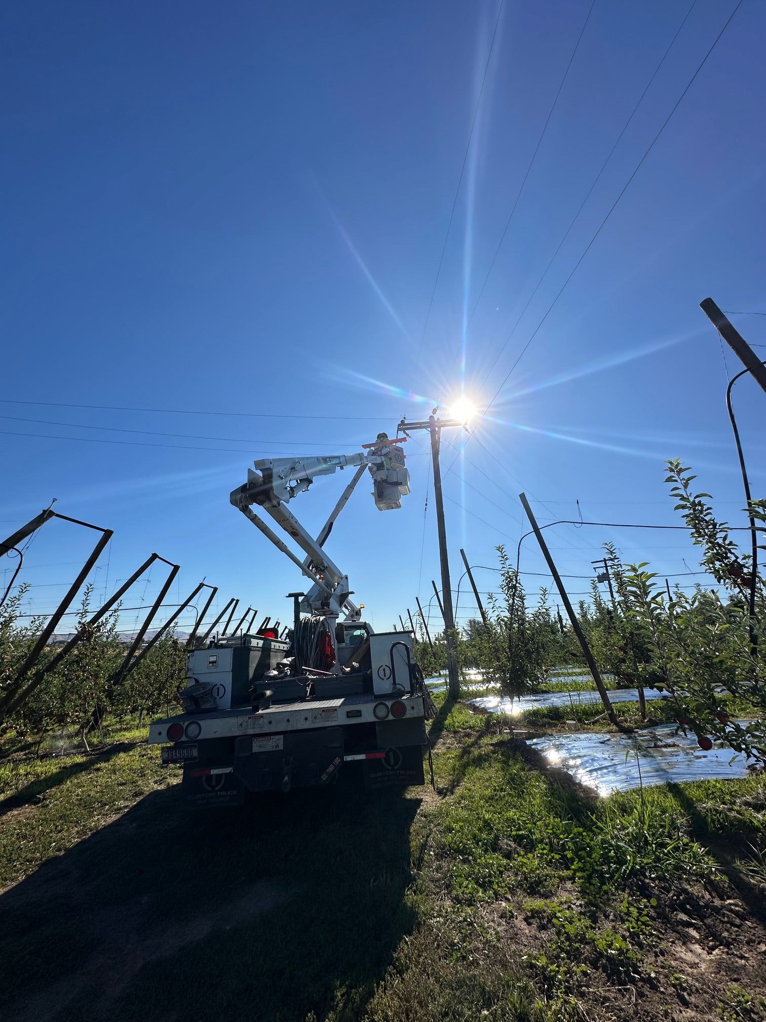 Shayla Gaffney and crew performing Storm Restoration Linework